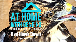 Red Hawk Down | At Home with Gene Ho, Episode 35