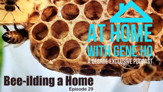 Bee-ilding a Home | At Home with Gene Ho, Episode 29