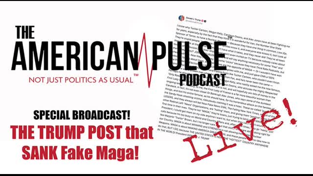 The Trump Post that Sank the Fake MAGA Influencer Network. American Pulse Podcast - Episode 114