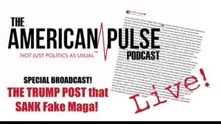 The Trump Post that Sank the Fake MAGA Influencer Network. American Pulse Podcast - Episode 114