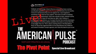 Special Broadcast: The Viral Alexis Wilkins Post! I American Pulse Podcast - Episode 113