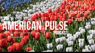 BIG REVEAL: GAME THEORY and Selling American Land | American Pulse Podcast - Episode 88